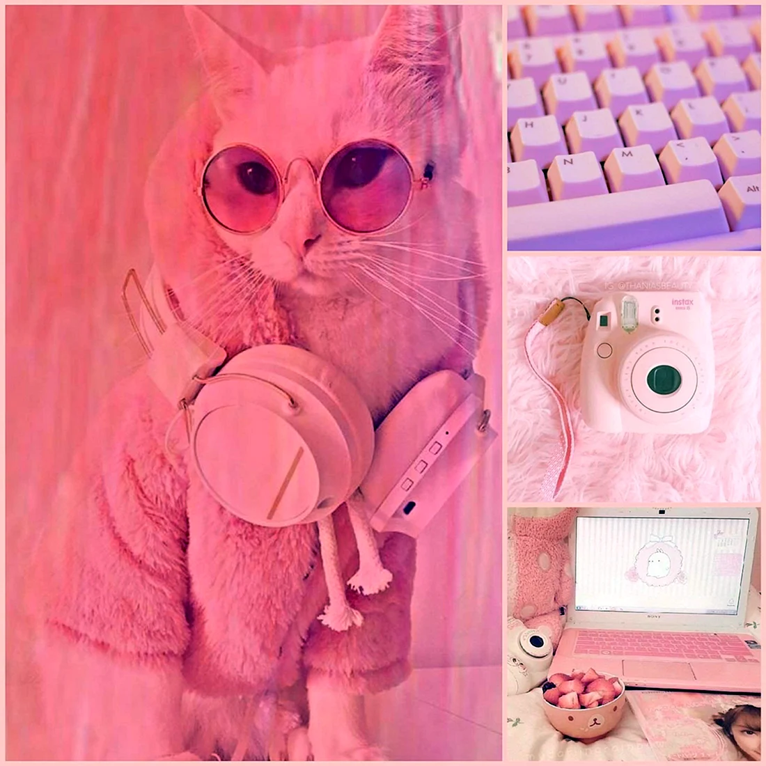 Розовая кошка Эстетика