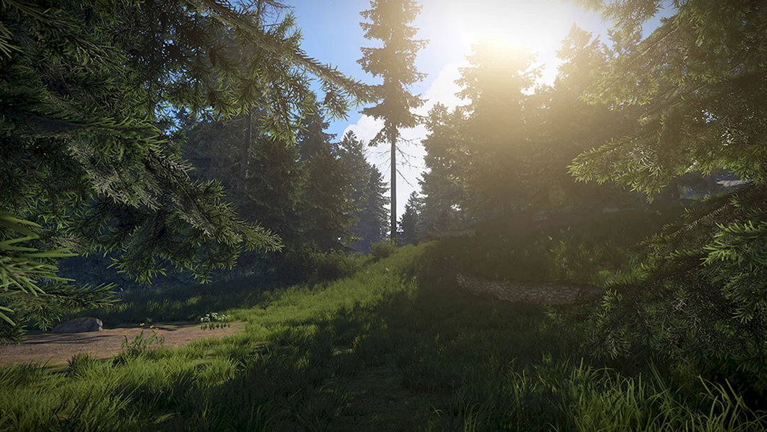 Rust 4k