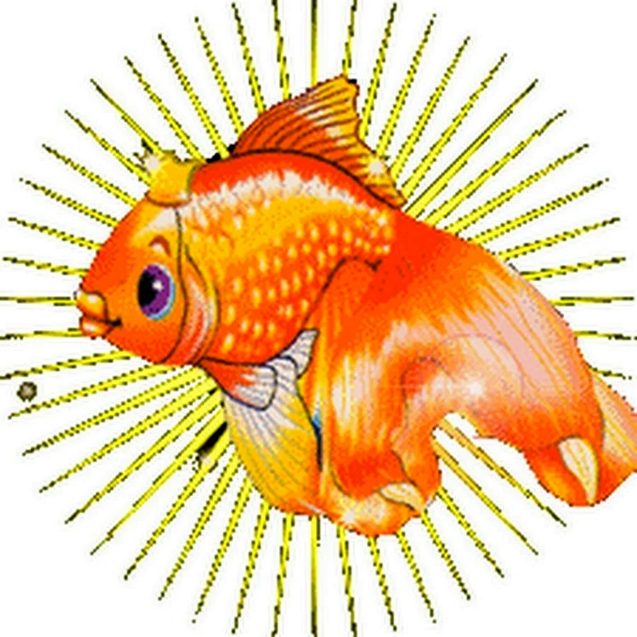 Рыбки