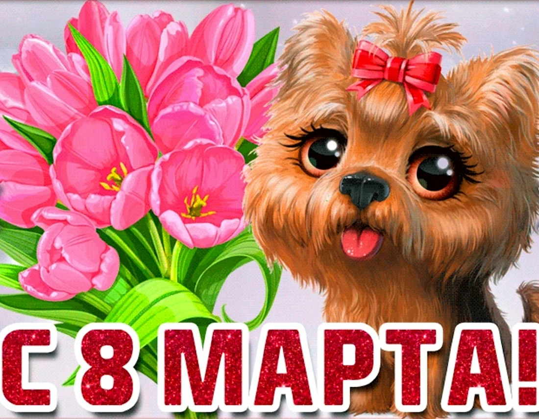 С 8 марта собака