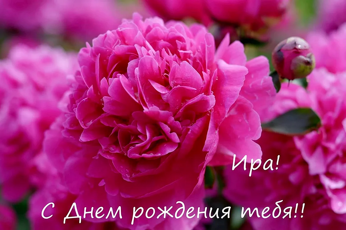 С днём рождения Ирина