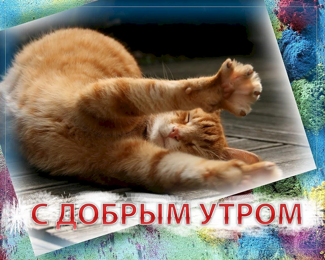 С добрым утром