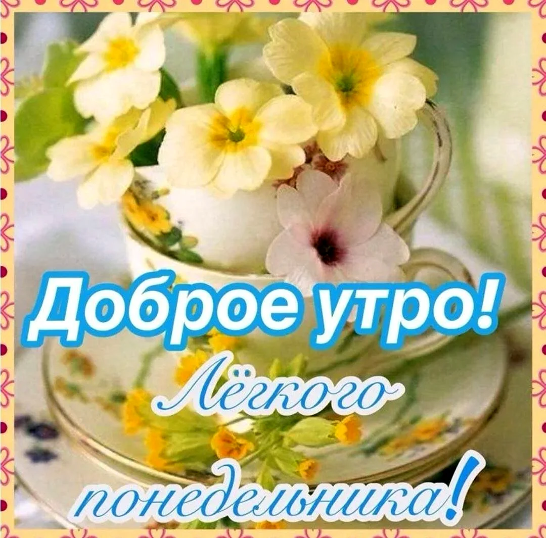 С добрым утром понедельника