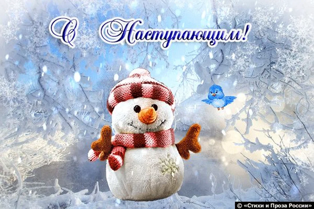 С наступающим годом