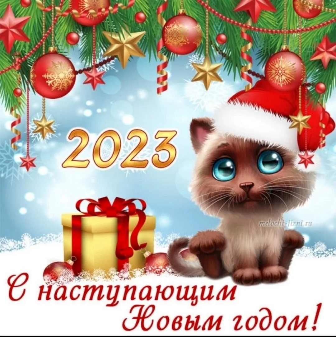 С наступающим новым годом 2023