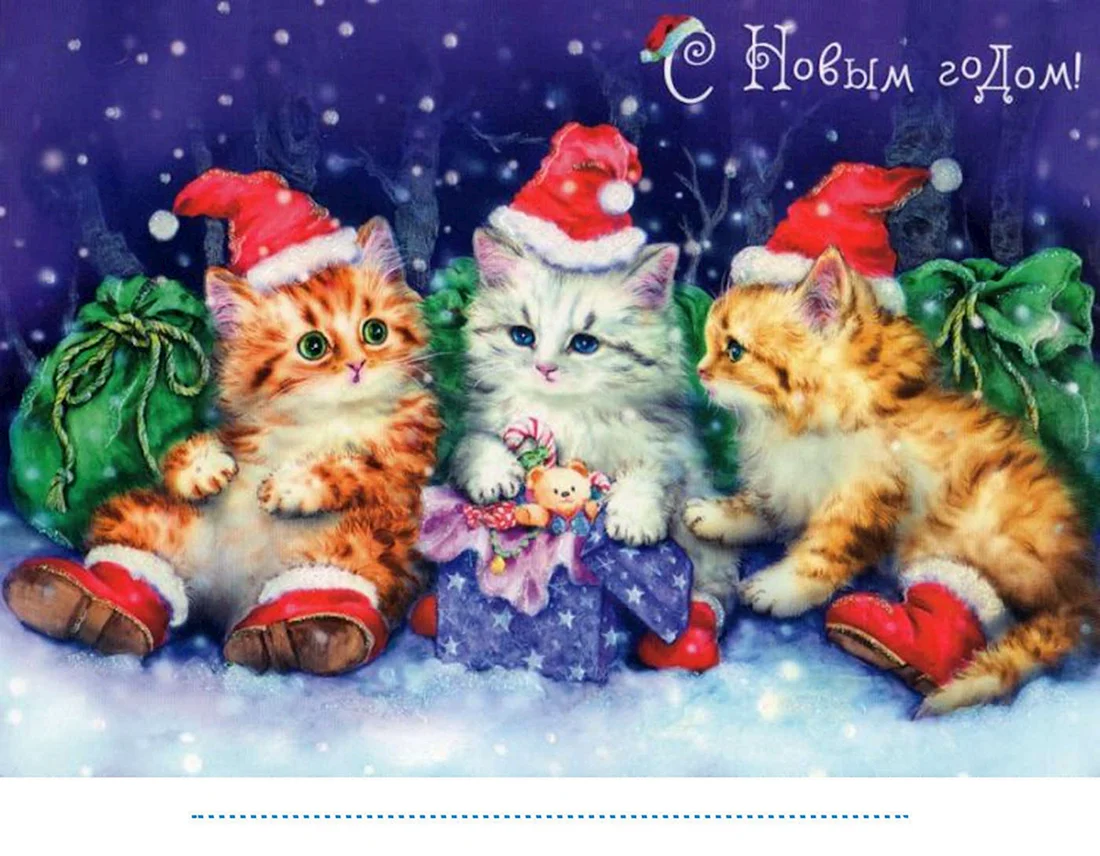 С новым годом котенок