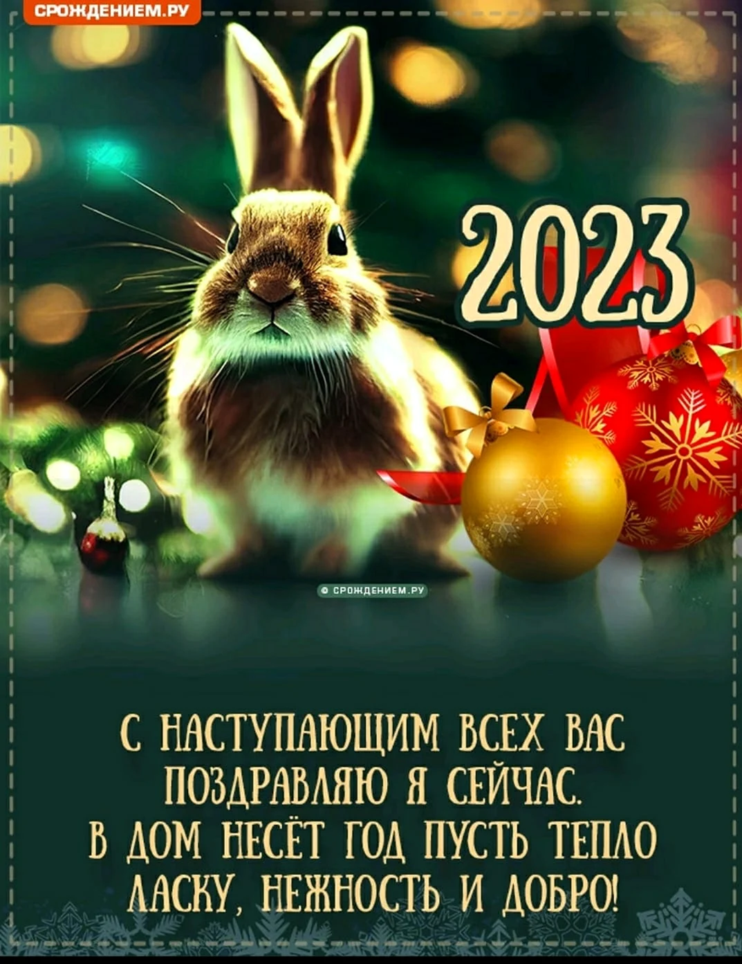 С новым годом кролика