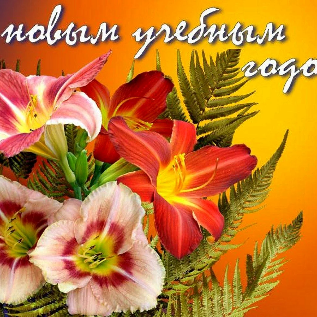 С новым учебным годом