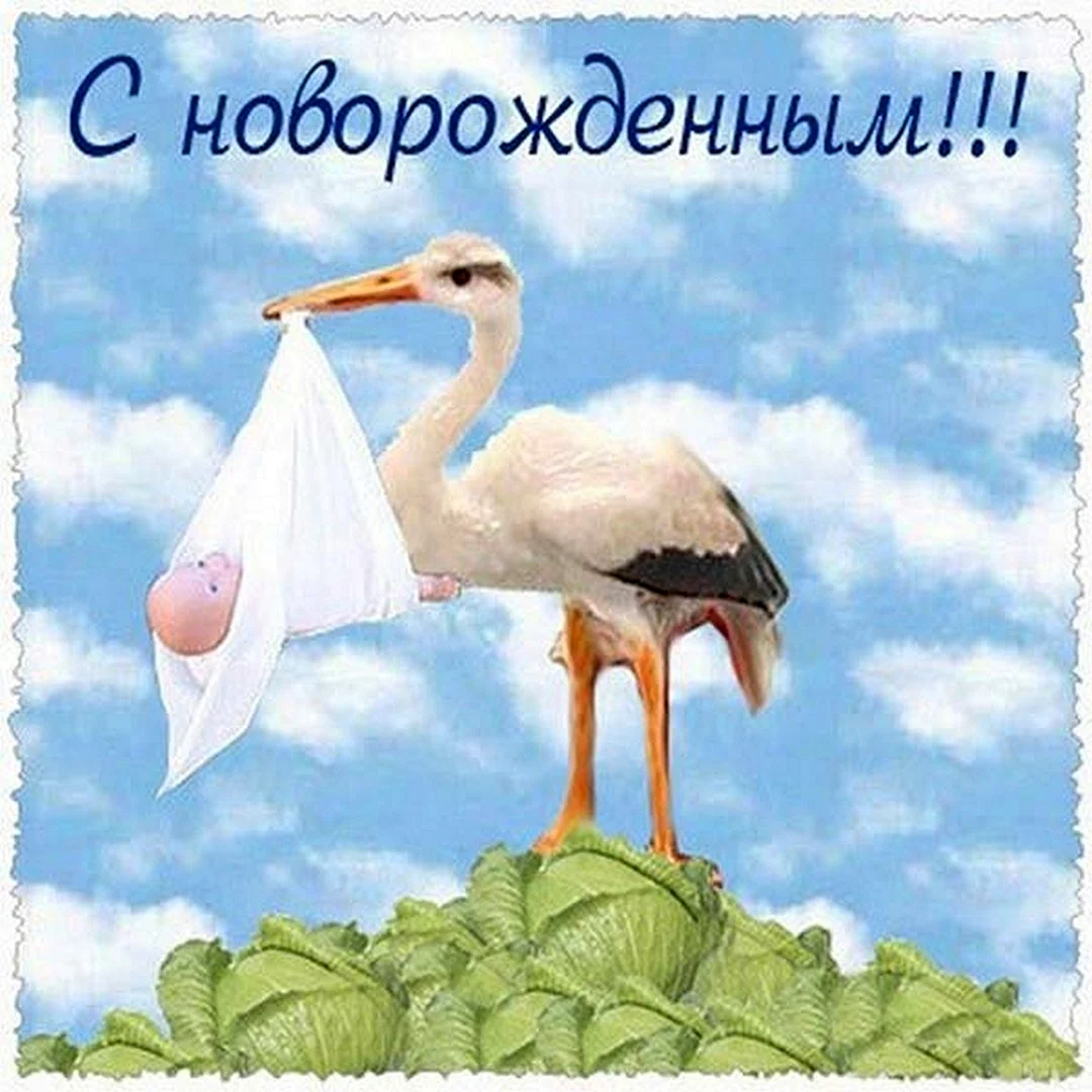 С рождением сына