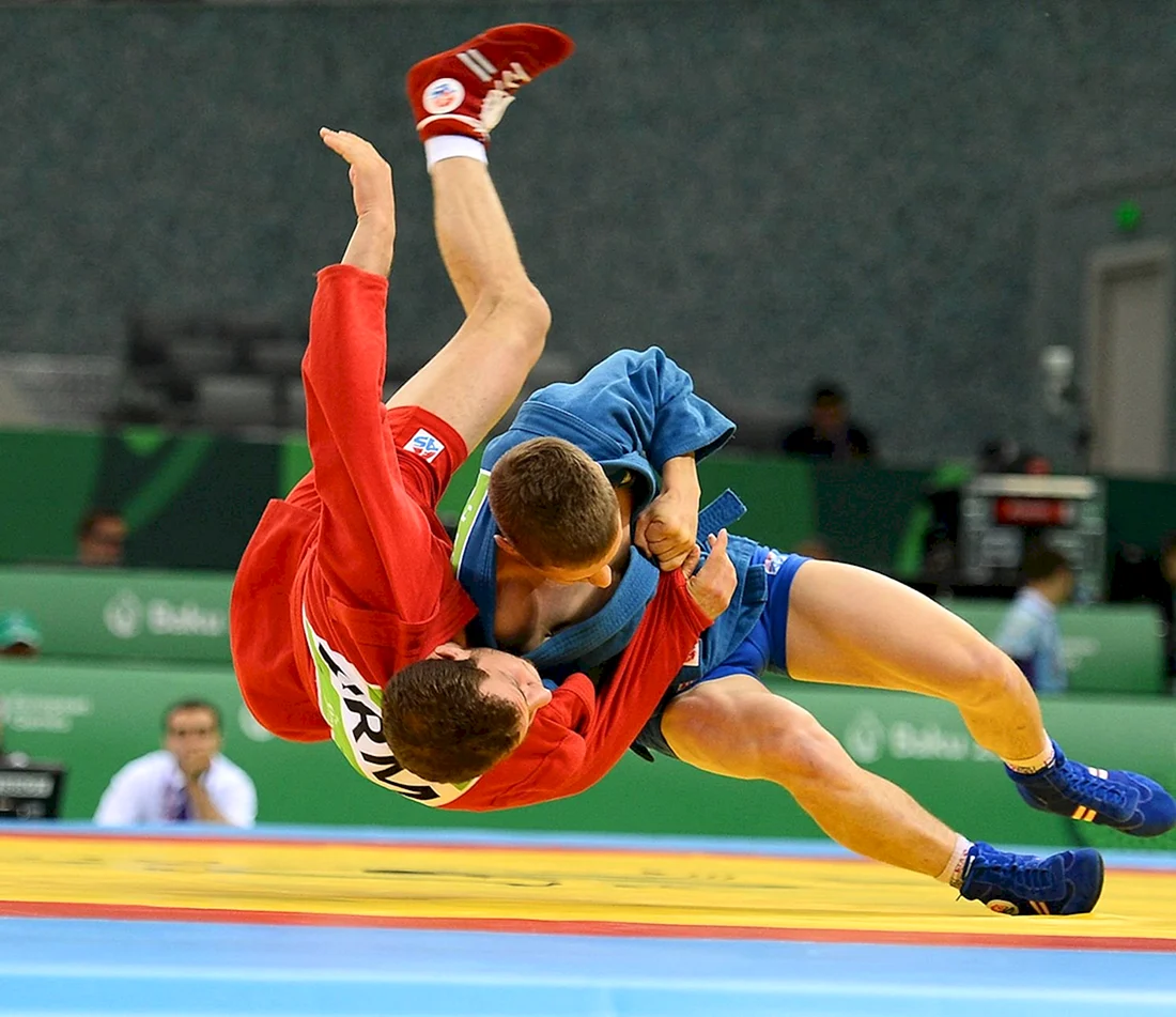 Самбо Олимпийский вид спорта