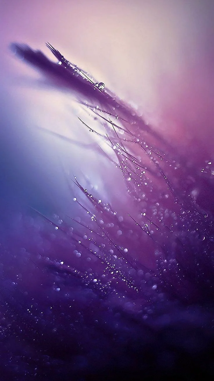Samsung s8 Purple