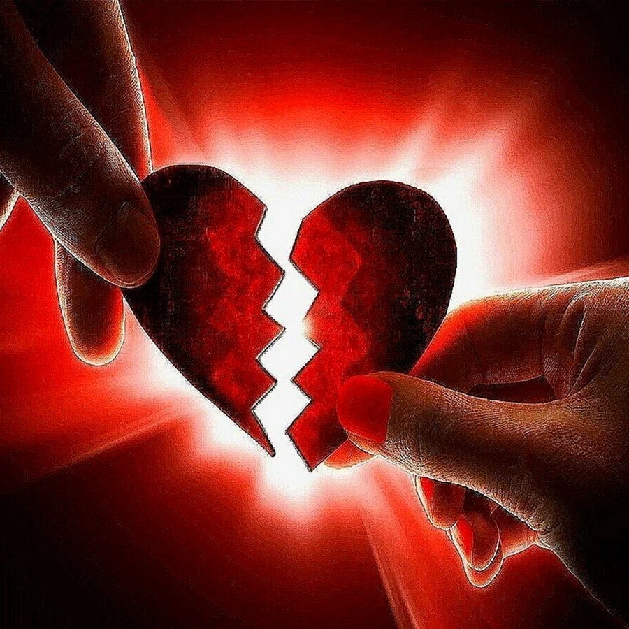 Сердце любовь