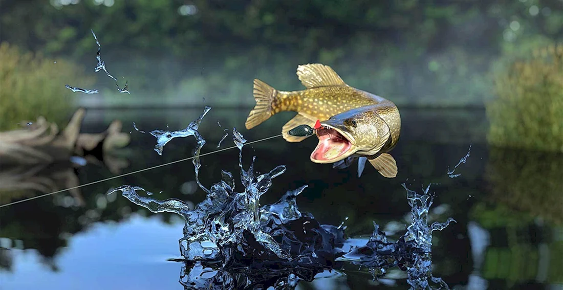 Щукожор Fishing Planet