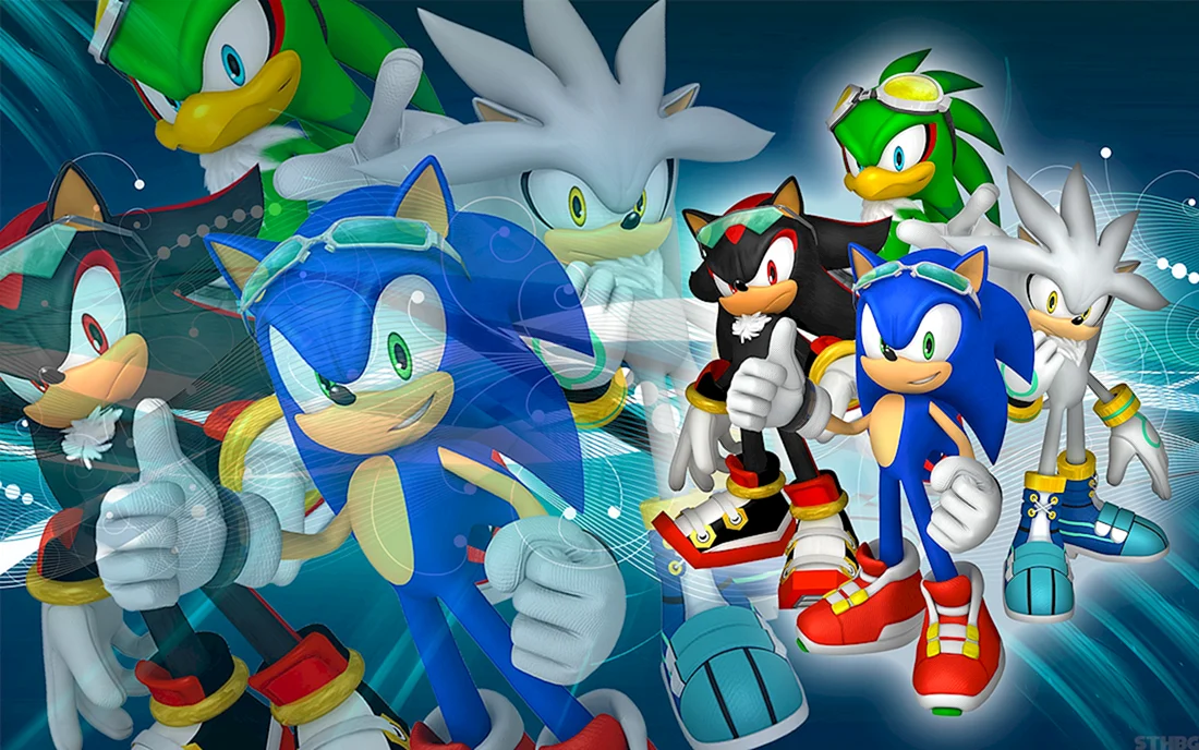 Шедоу ёж Sonic Riders
