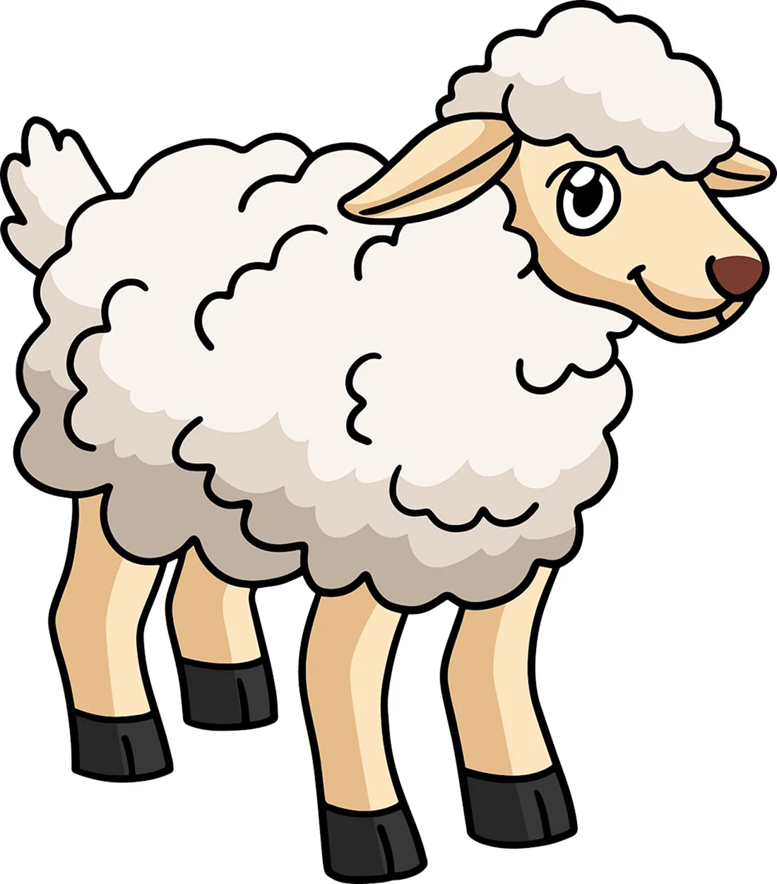 Sheep vector illustration