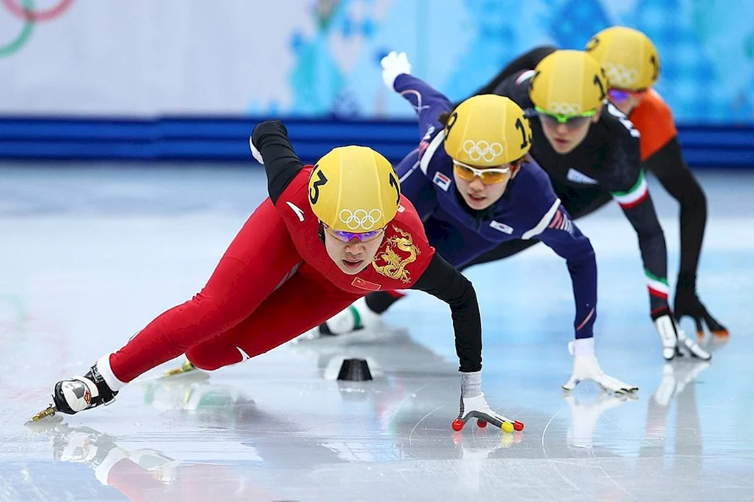 Шорт трек вид спорта