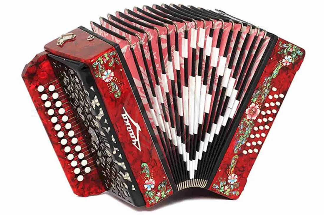 Шуйская гармоньЧайка 204 25х25-II s6xl-a-gr