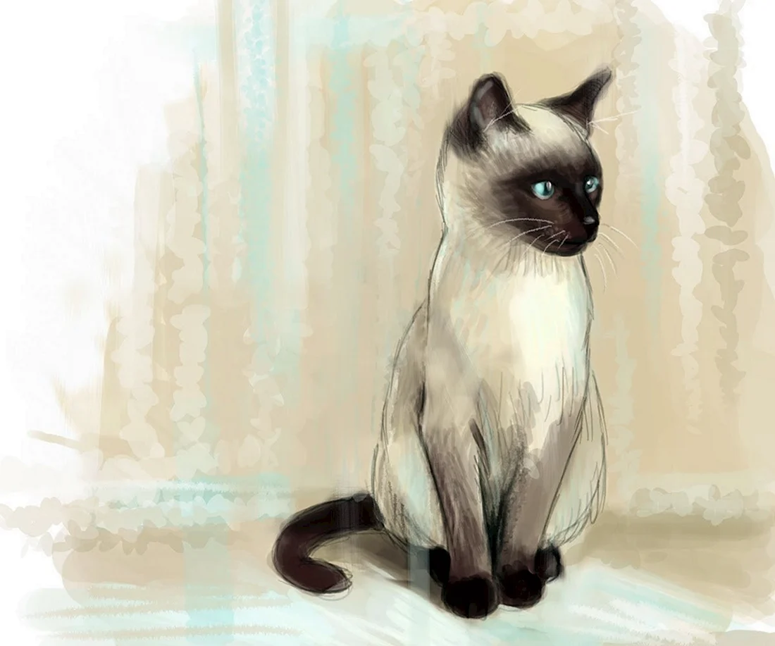 Сиамская кошка