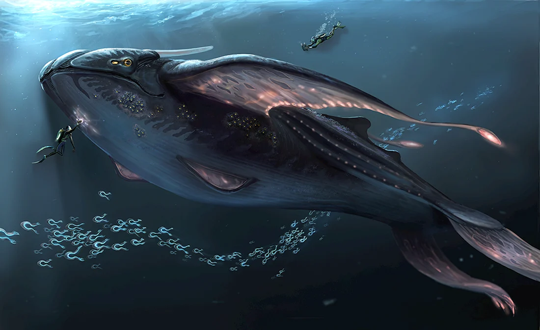 Сияющий кит Subnautica below Zero