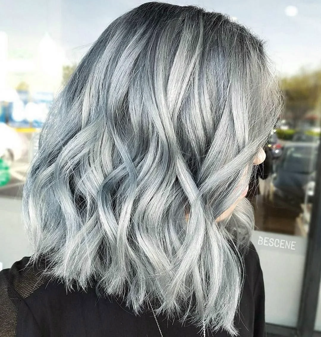 Сильвер грей Silver Gray