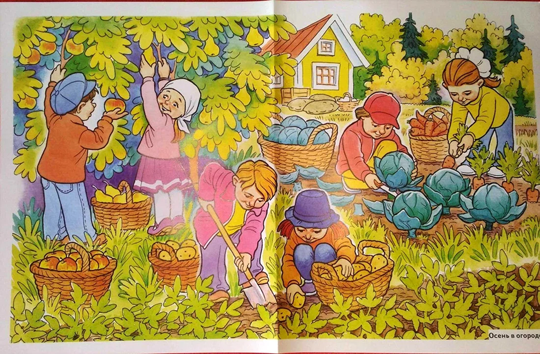 Сюжетные картины для детей