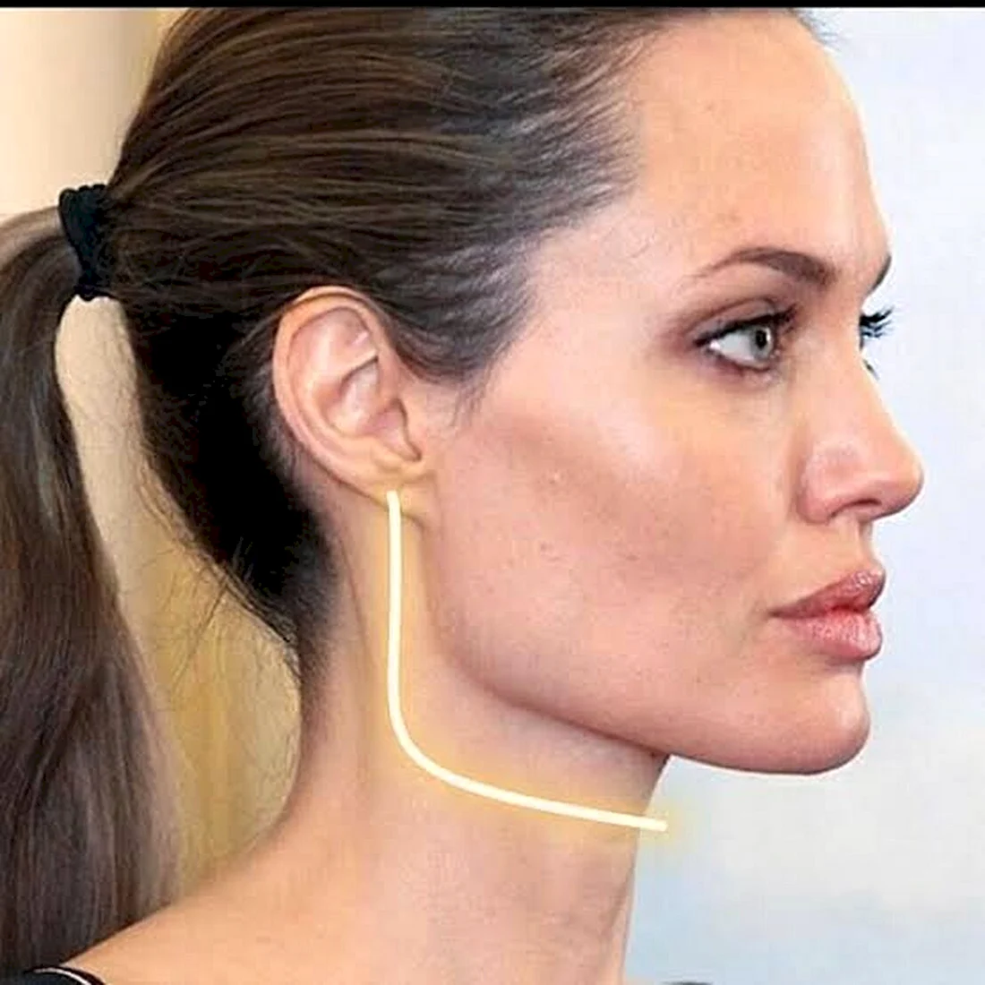 Скулы Анджелины Джоли