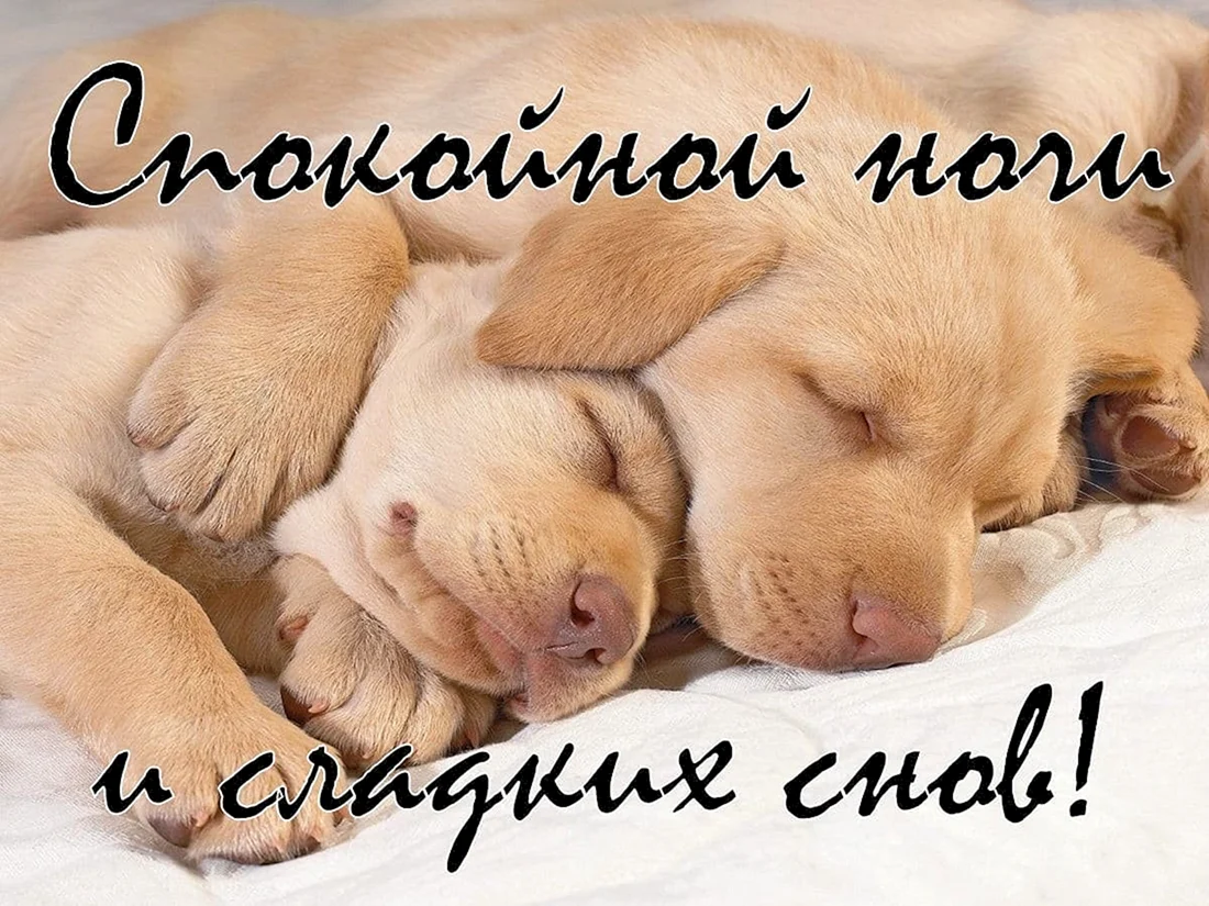 Сладеньких снов