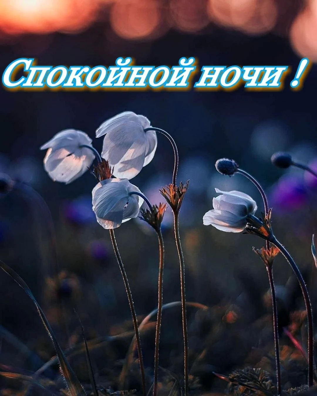Сладких снов красивые