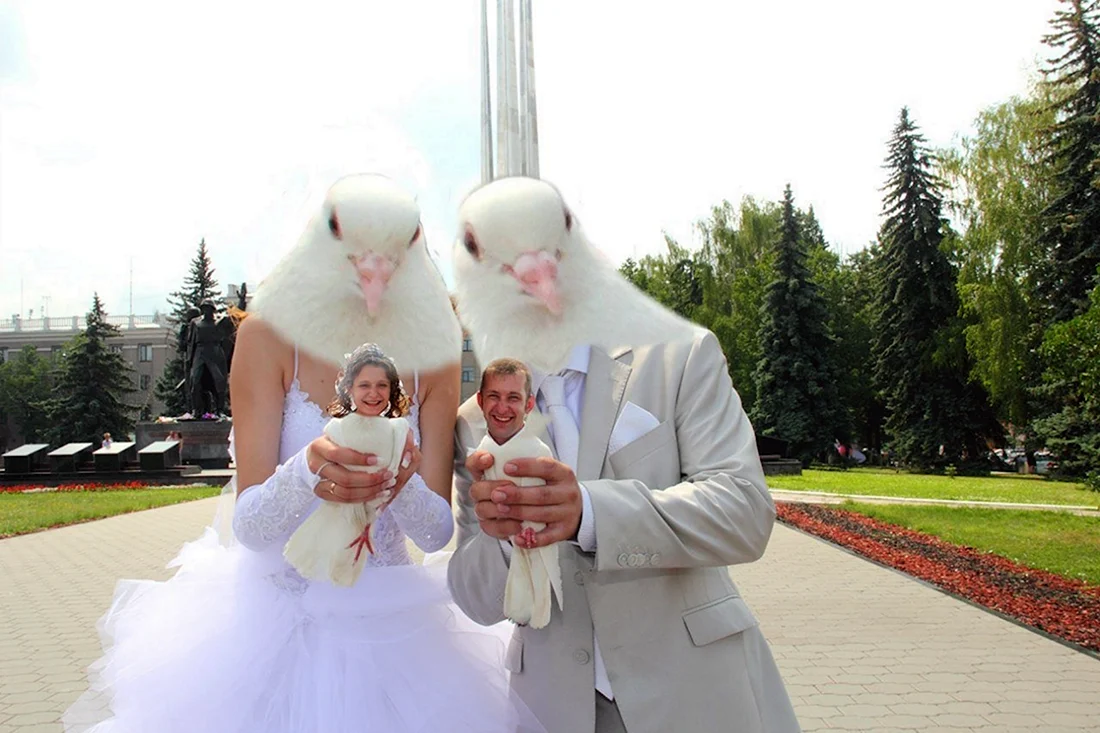 Смешные Свадебные фотосессии