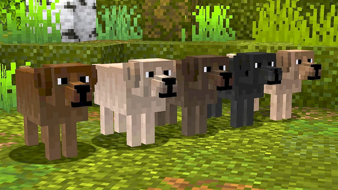 Собака из МАЙНКРАФТА