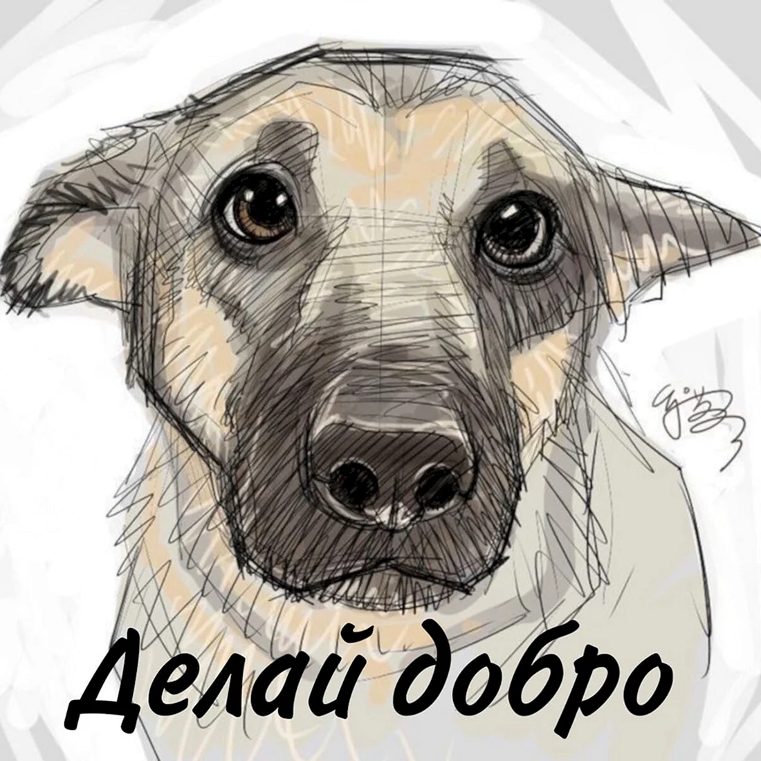 Собака рисунок