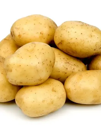 Сорт картошки Бельмондо