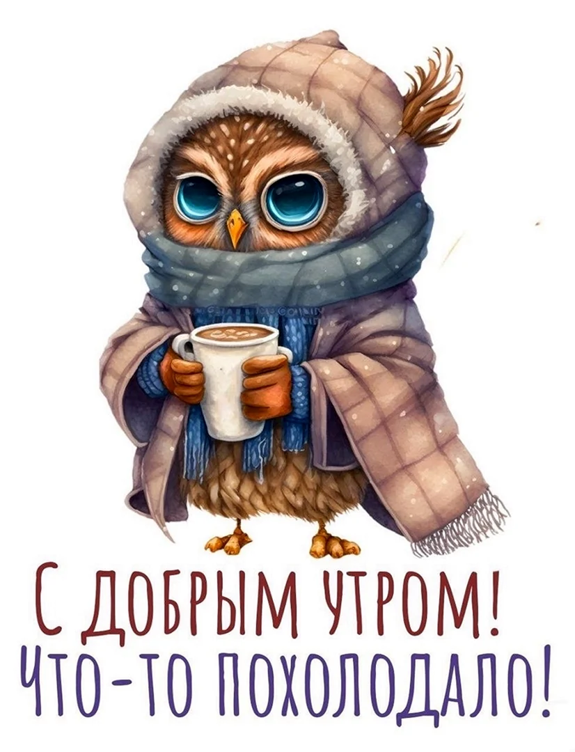 Сова в шапке