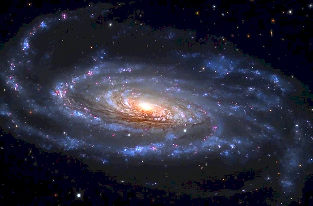 Спиральная Галактика NGC 5033