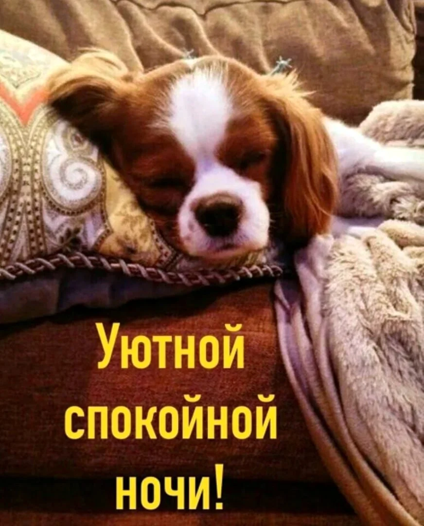 Спокойной ночи