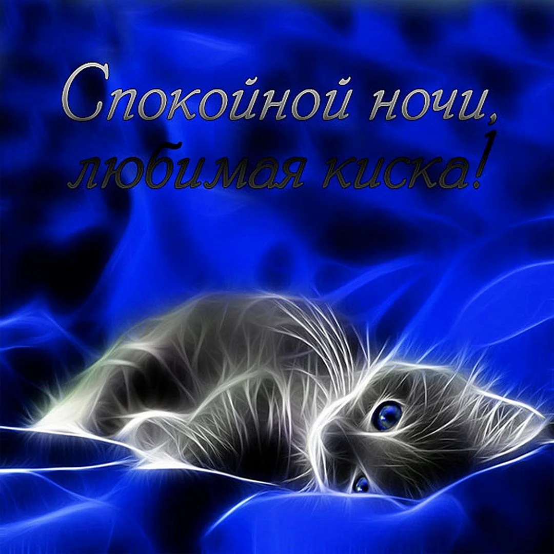 Спокойной ночи