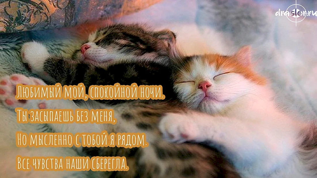 Спокойной ночи любимому