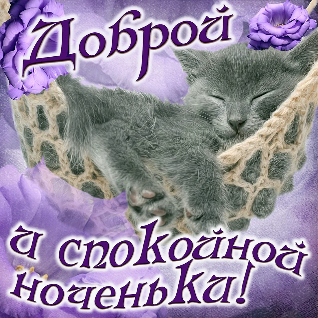 Спокойной ночи сладких снов