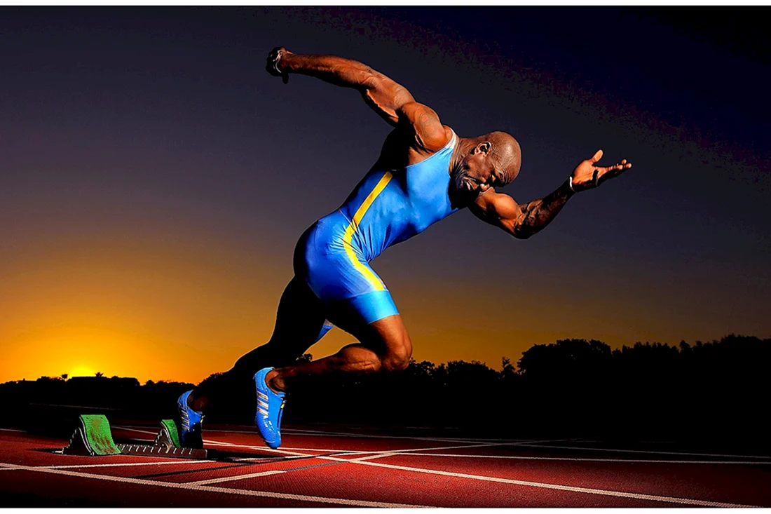 Спорт