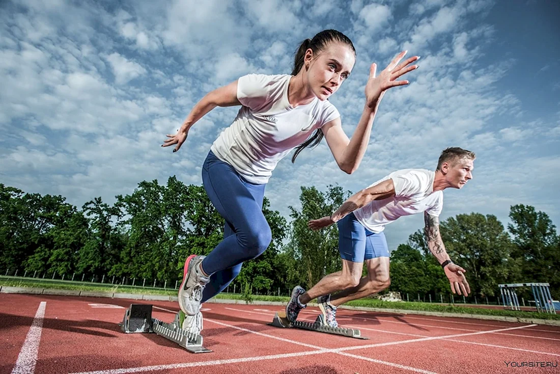 Спорт