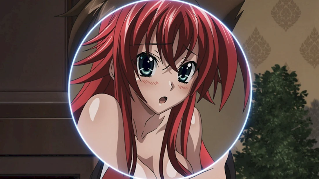 Старшая школа DXD