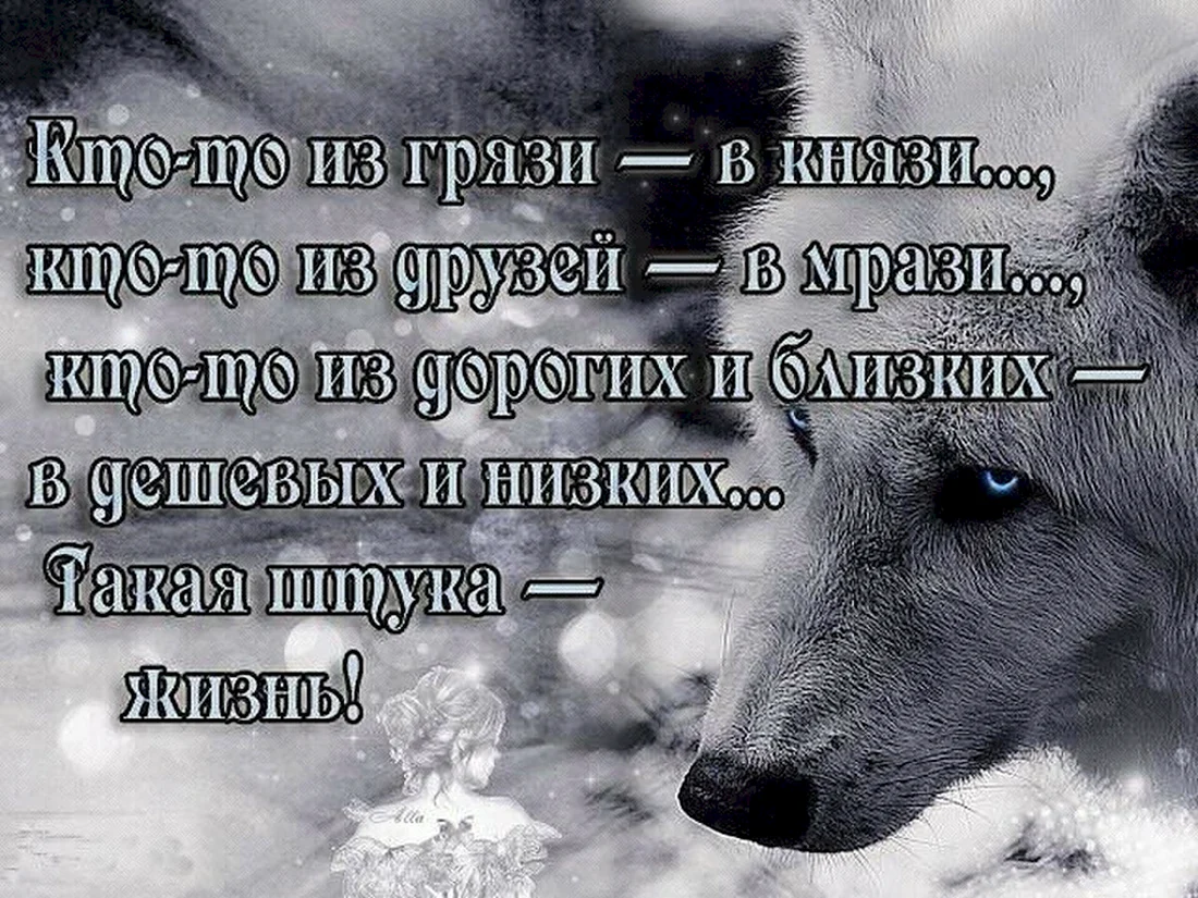 Статусы про жизнь