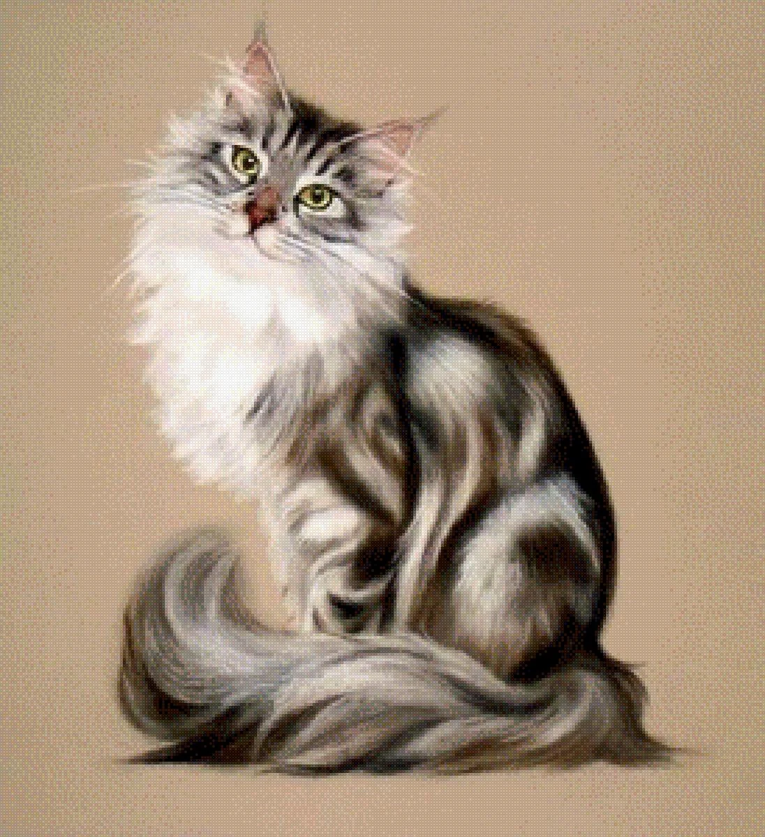 Stephanie Manchipp