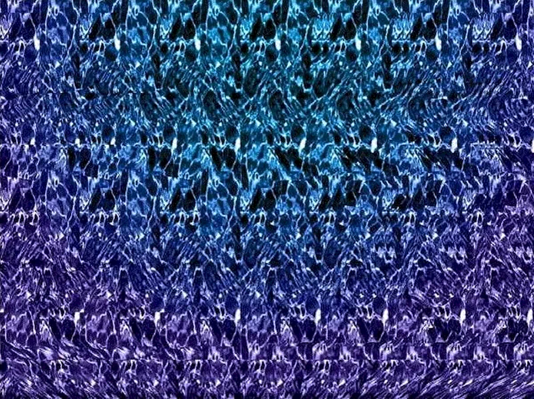 Стереограмма Magic Eye