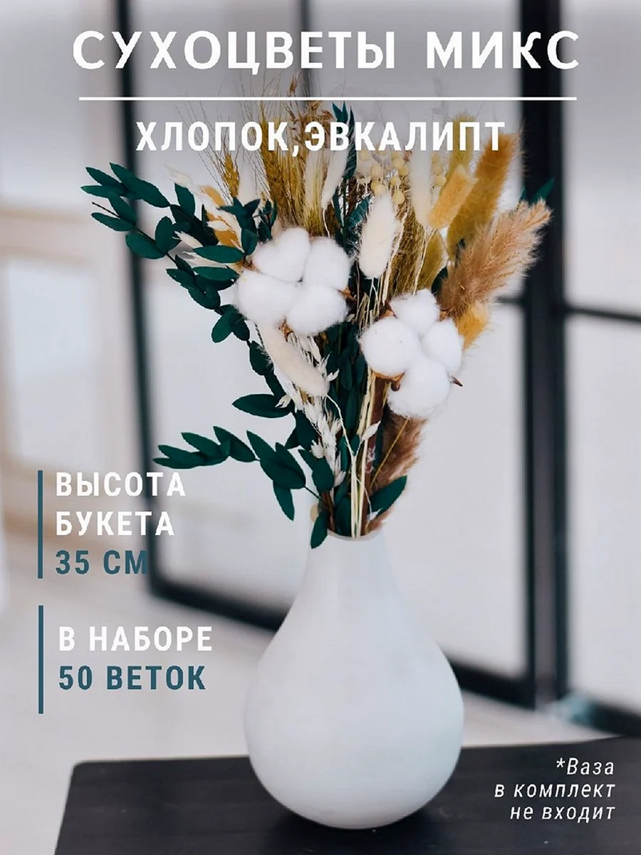 Сухоцветы поставщики