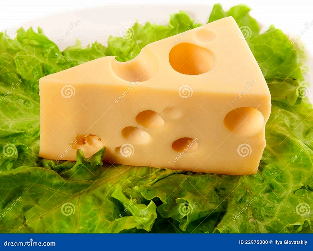 Сыр Маасдам