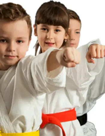 Taekwondo дети группа