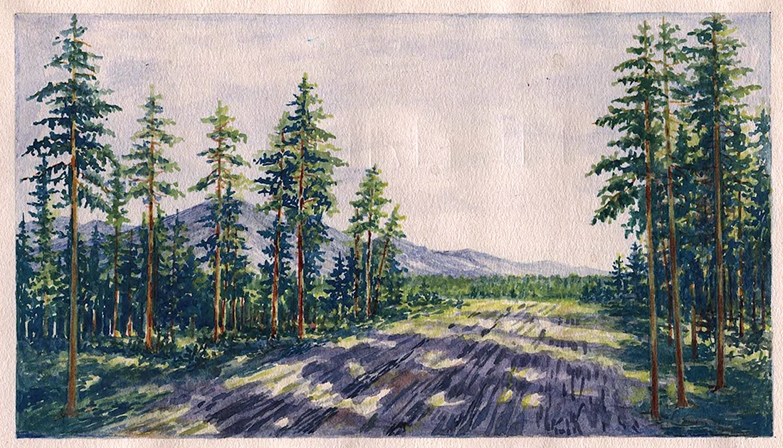 Тайга рисунок