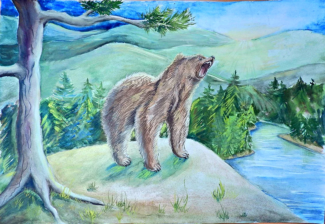 Тайга рисунок