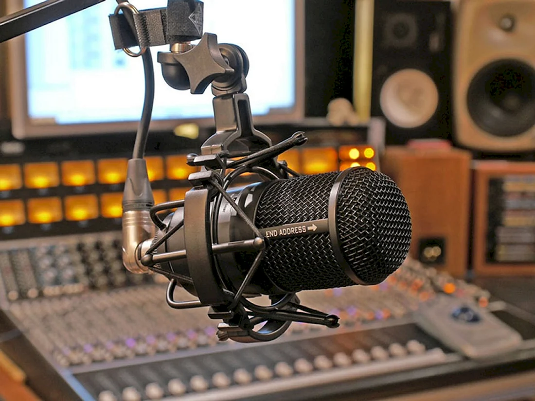 Telefunken Elektroakustik m81